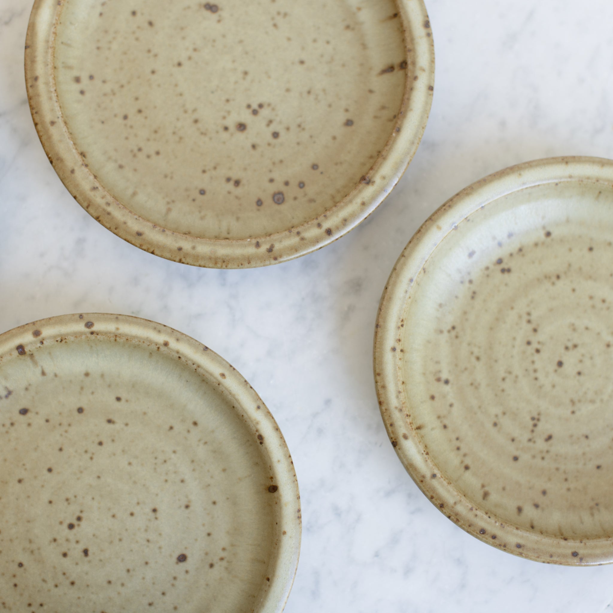 Stoneware Plate Set of 5 - elsie green - the french kitchen