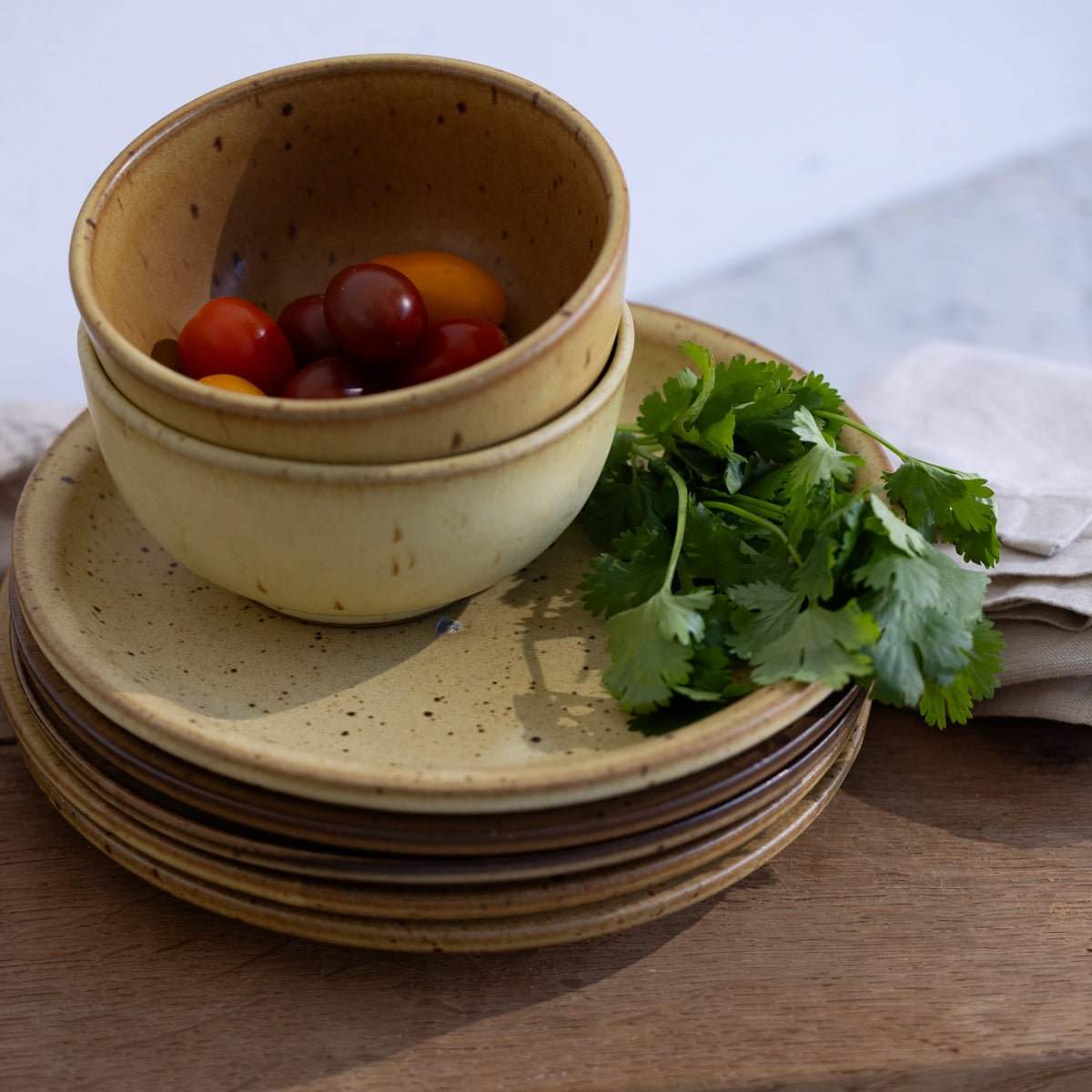 Stoneware Plates & Bowls Set of 12 Pieces - elsie green - the french kitchen