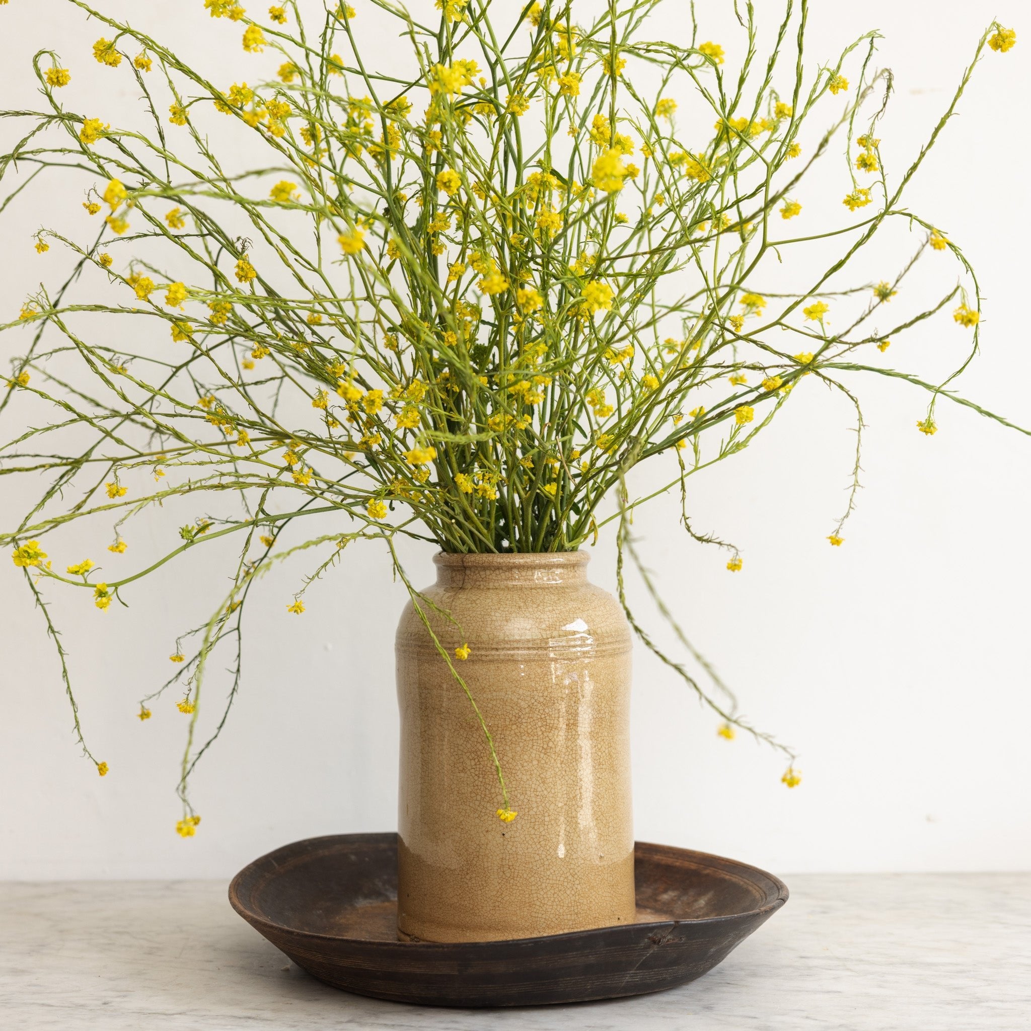 Tall Stoneware Mustard Crock - elsie green - the french kitchen