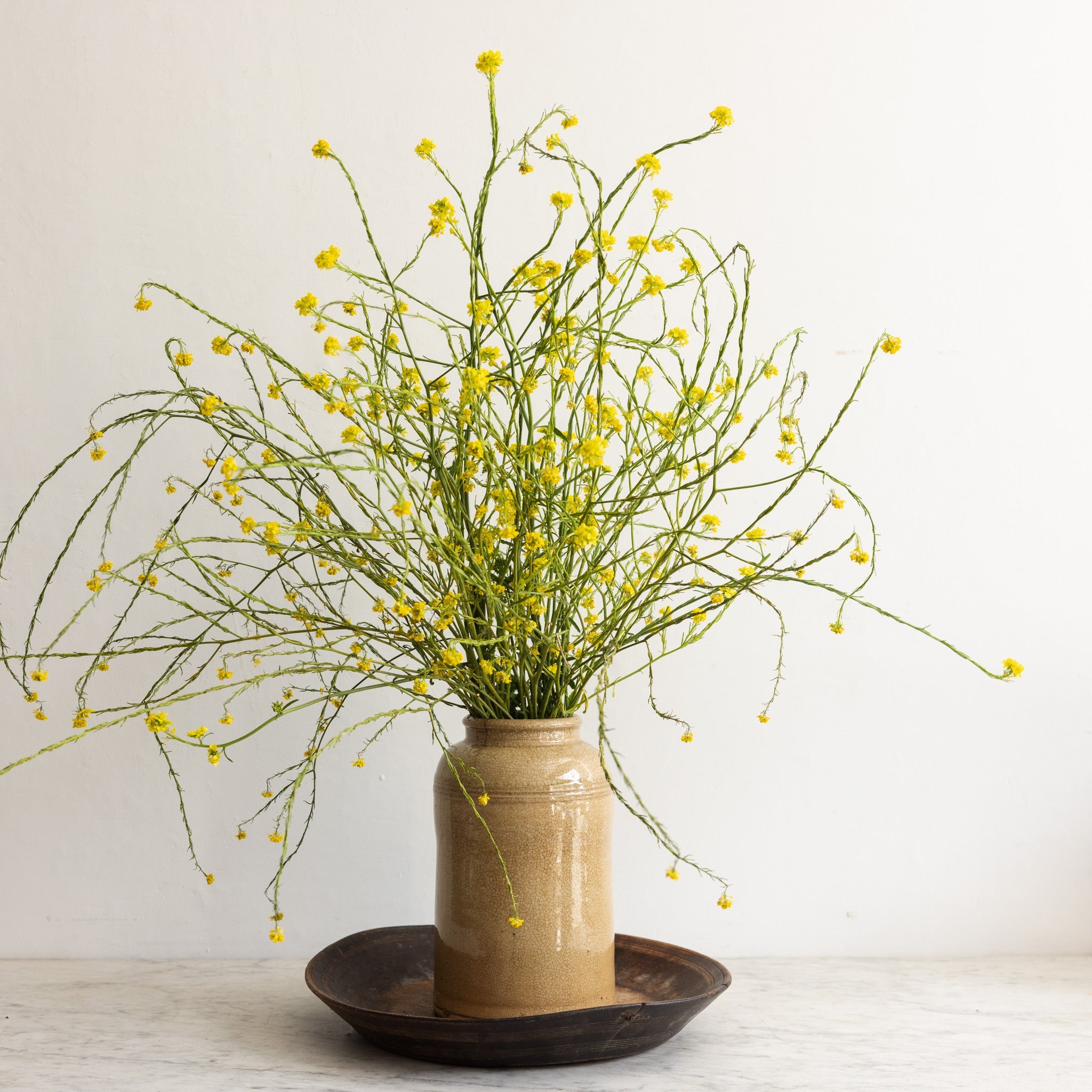 Tall Stoneware Mustard Crock - elsie green - the french kitchen