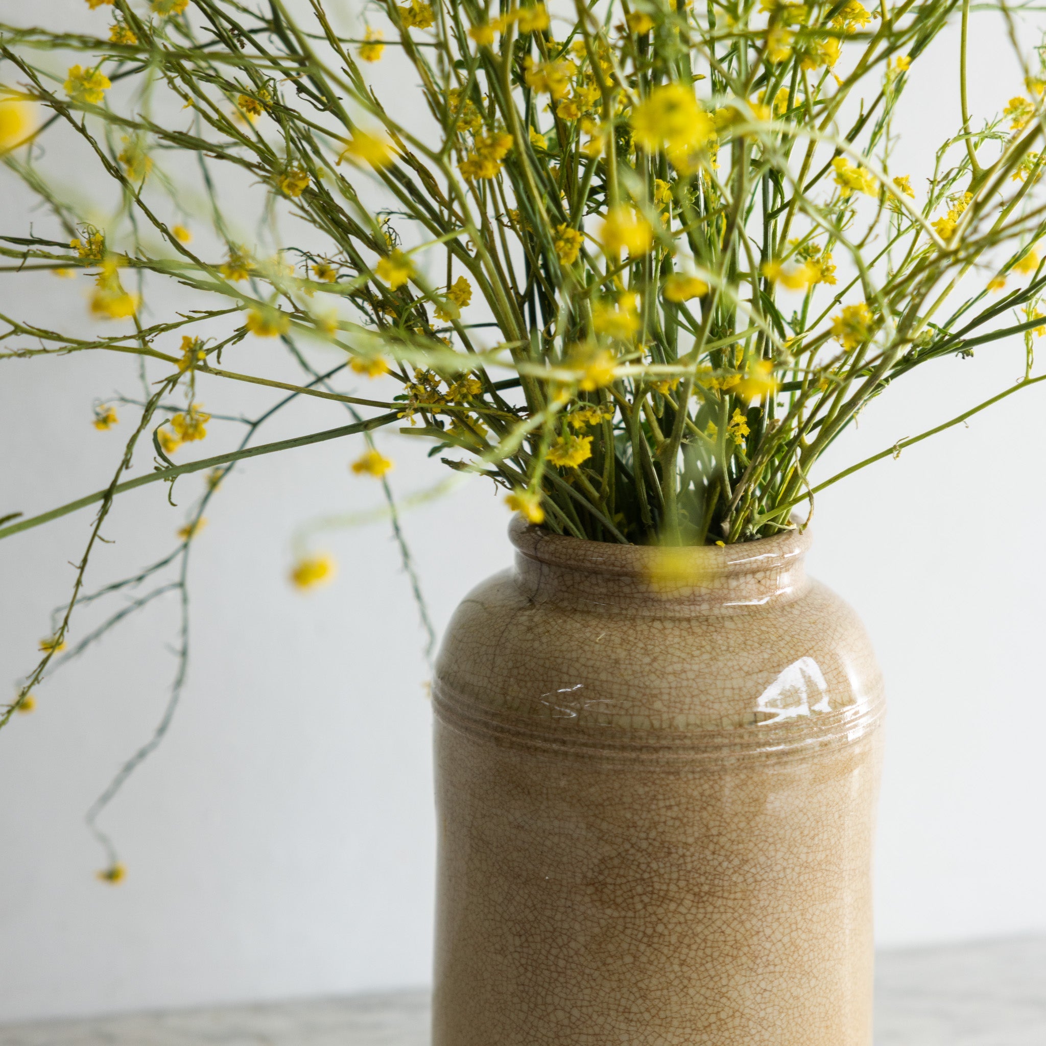 Tall Stoneware Mustard Crock - elsie green - the french kitchen