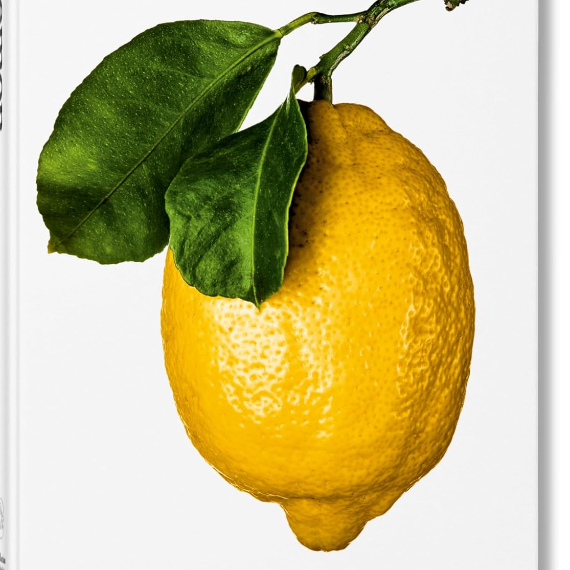 The Gourmand's Lemon: A Collection of Stories and Recipes - elsie green - decor