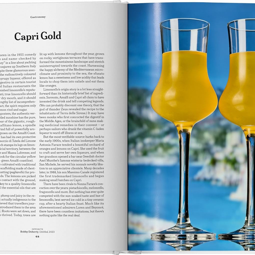 The Gourmand's Lemon: A Collection of Stories and Recipes - elsie green - decor