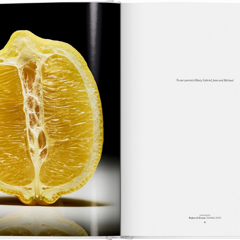 The Gourmand's Lemon: A Collection of Stories and Recipes - elsie green - decor