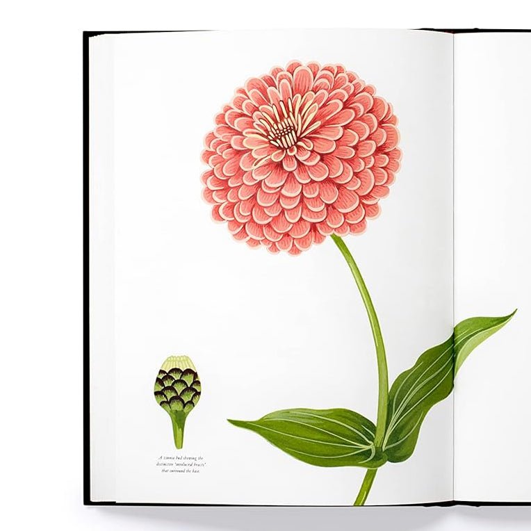 The Story of Flowers | And How They Changed the Way We Live - elsie green - decor