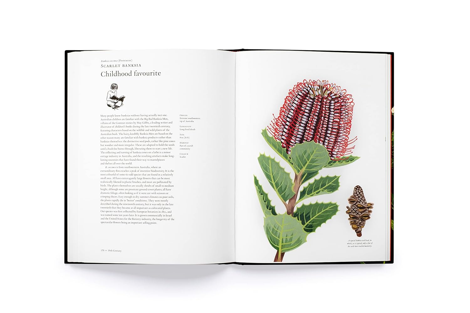 The Story of Flowers | And How They Changed the Way We Live - elsie green - decor