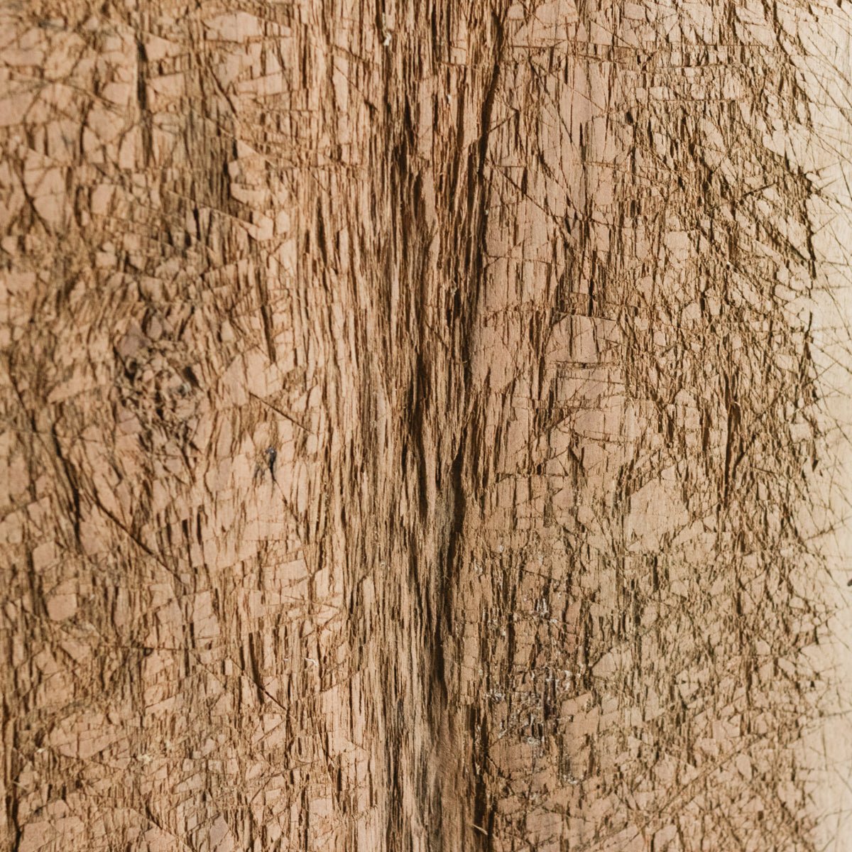 Very Large French Bread Board - elsie green - the french kitchen