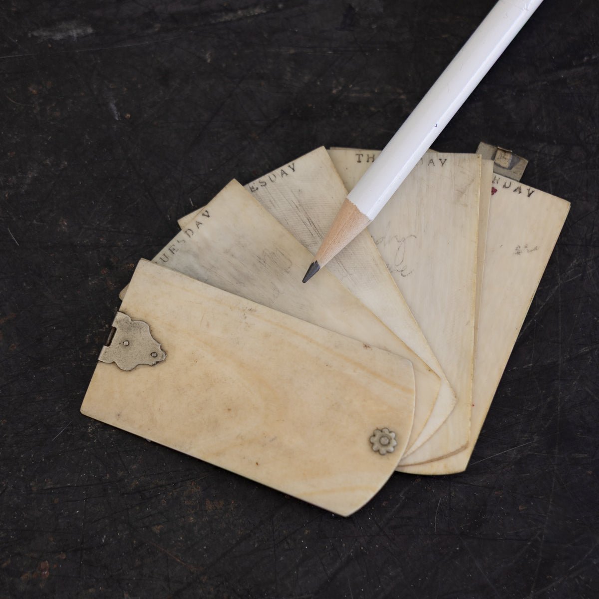 Victorian Bone Aide Memoire - elsie green - decor