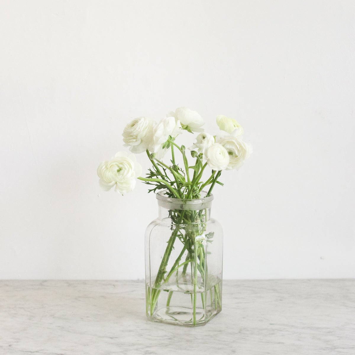 Vintage Candy Jar - elsie green - The French Kitchen