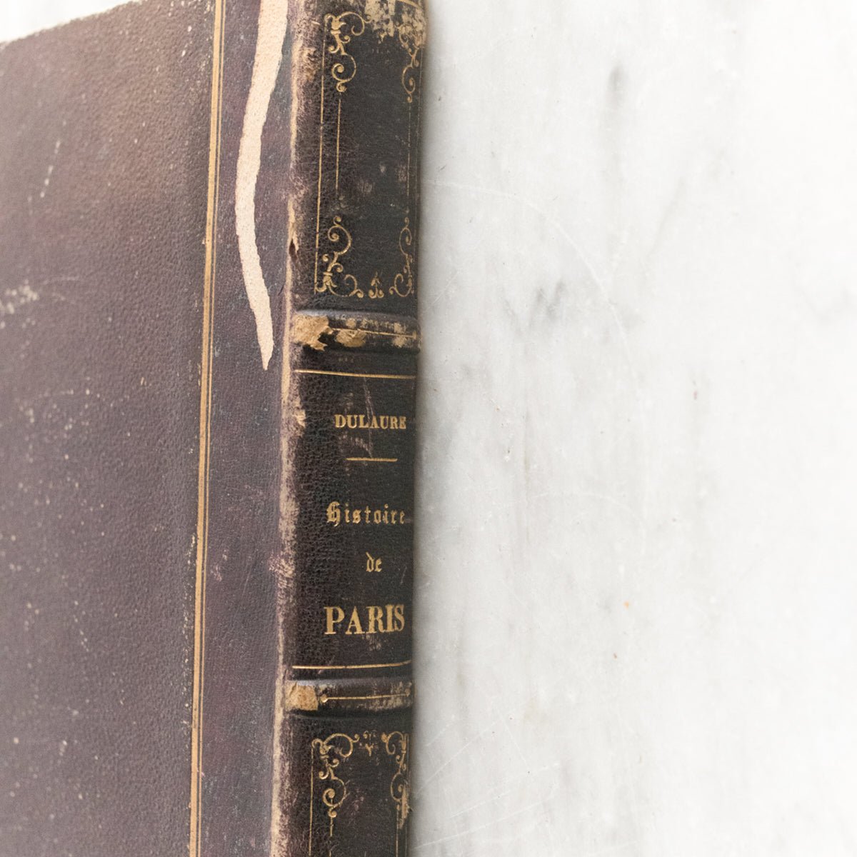 Vintage Library Book | L'Histoire de Paris - elsie green - decor