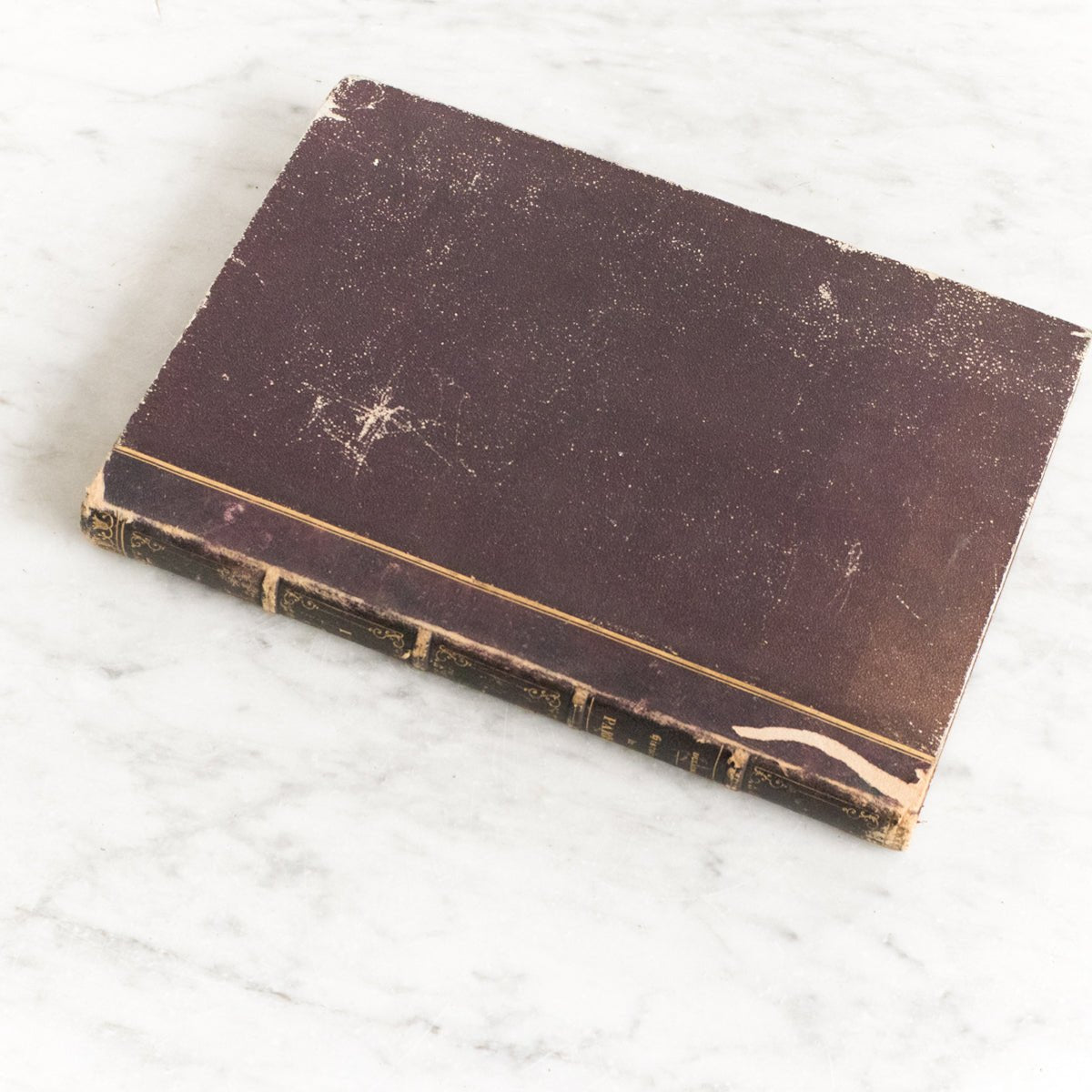 Vintage Library Book | L'Histoire de Paris - elsie green - decor