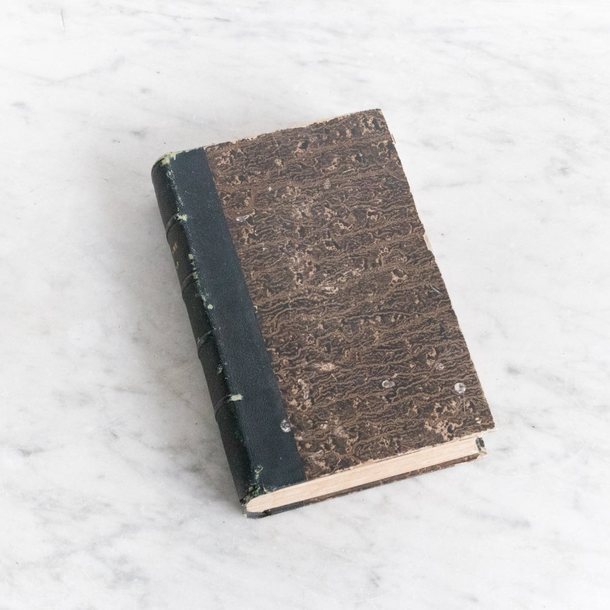 Vintage Library Book | Notre Dame de France - elsie green - decor