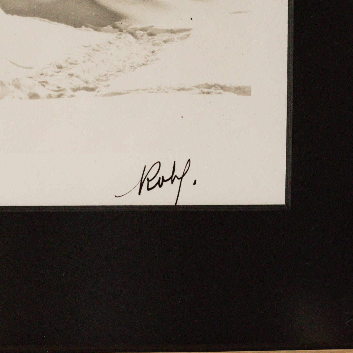 Vintage Mountain Cabin Photograph - elsie green - art