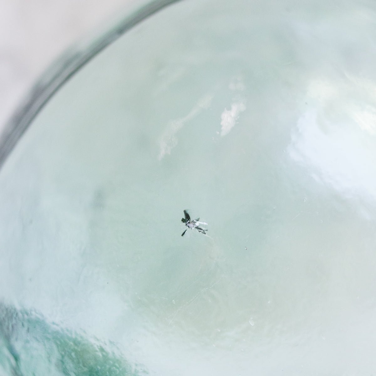 Vintage Oil Bottle - elsie green - decor