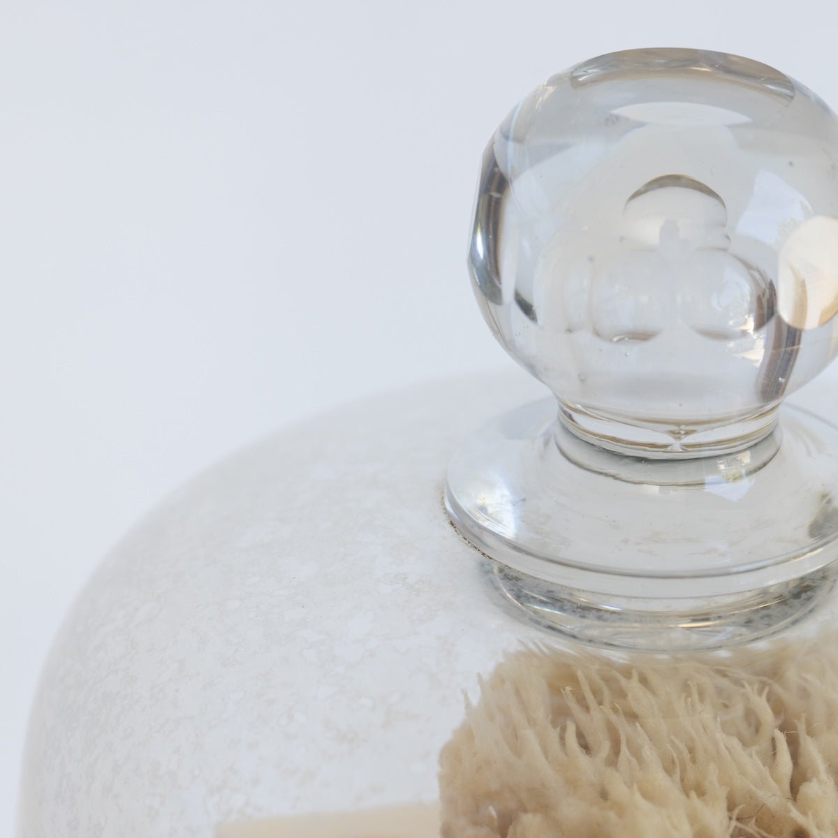 Vintage Pedestal with Glass Dome - elsie green - the french kitchen