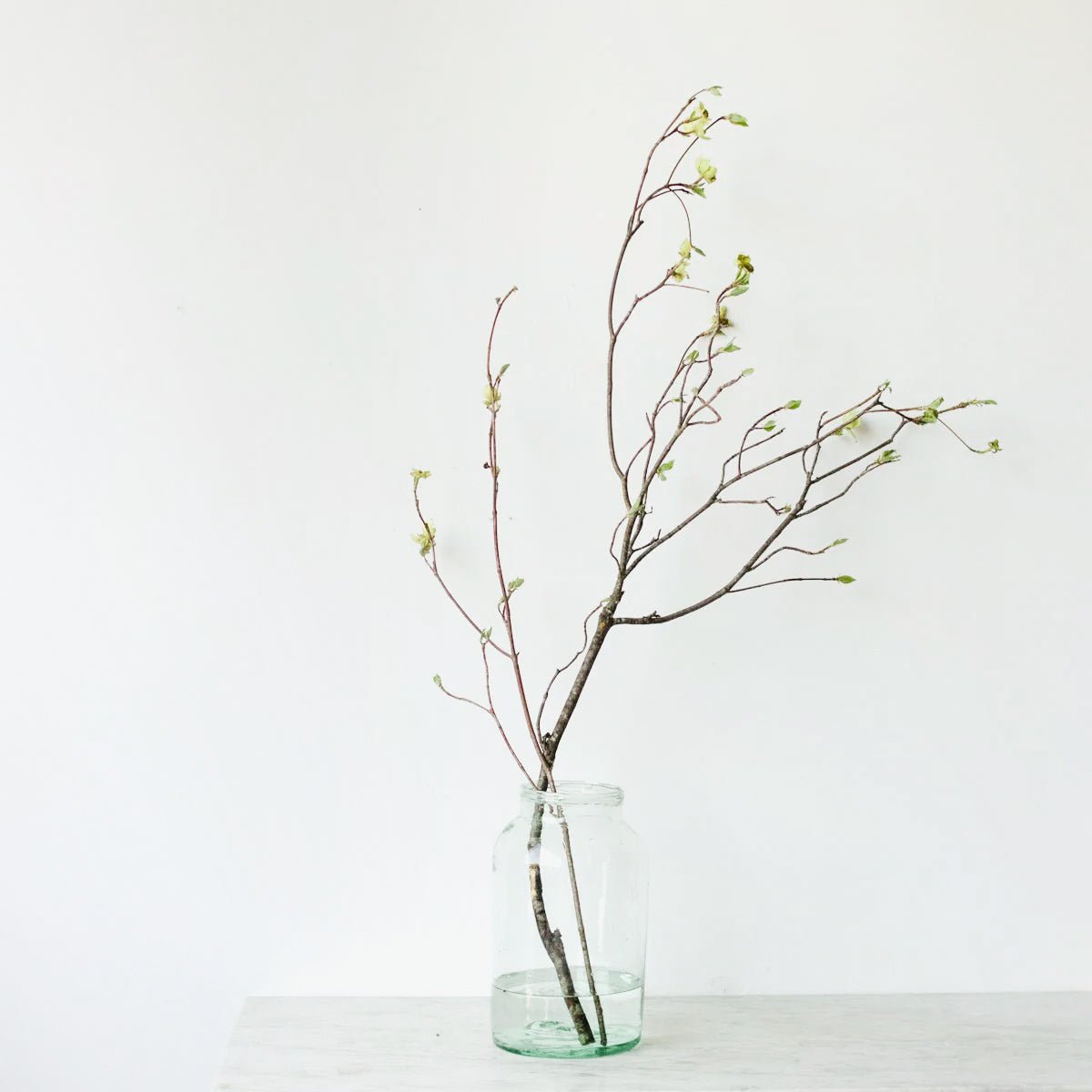 Vintage Pickling Jar - elsie green - decor