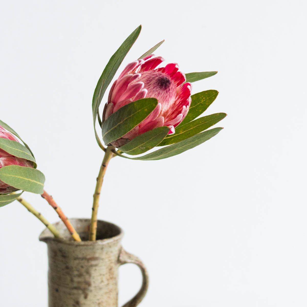 Vintage Stoneware Carafe - elsie green - the french kitchen
