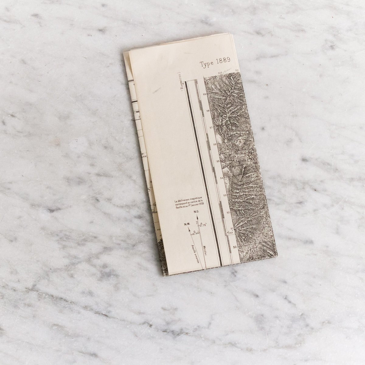 Vintage Topographic Map | Western Pyrenees - elsie green - decor