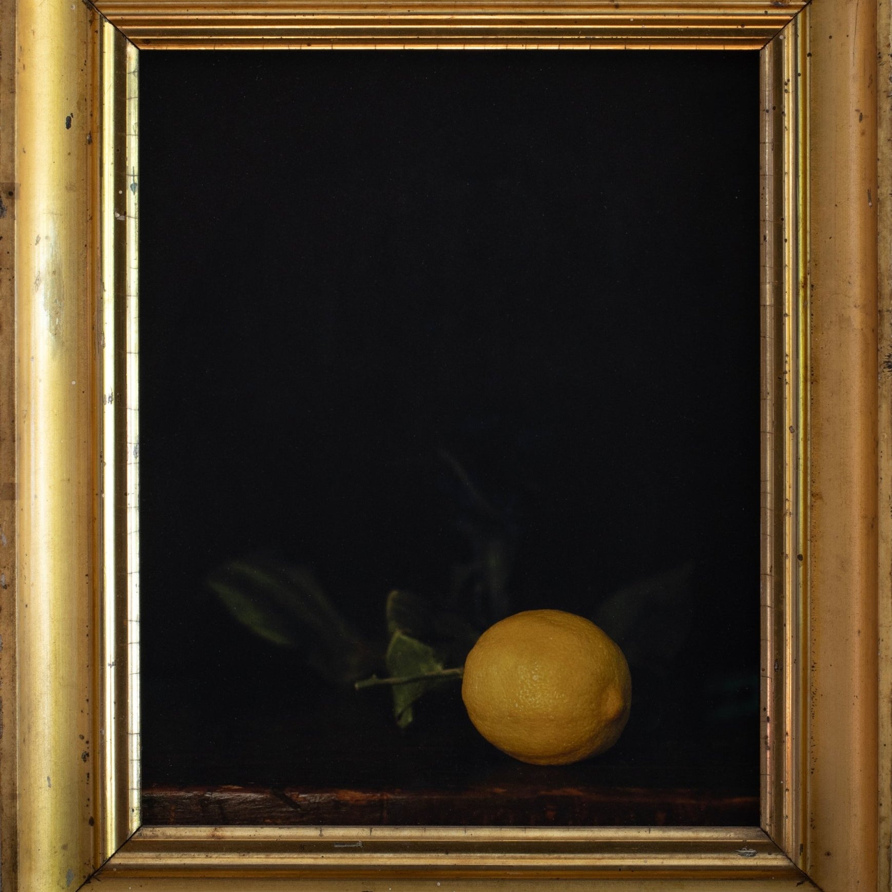 Winter Lemon | Jefferson Hayman - elsie green - art