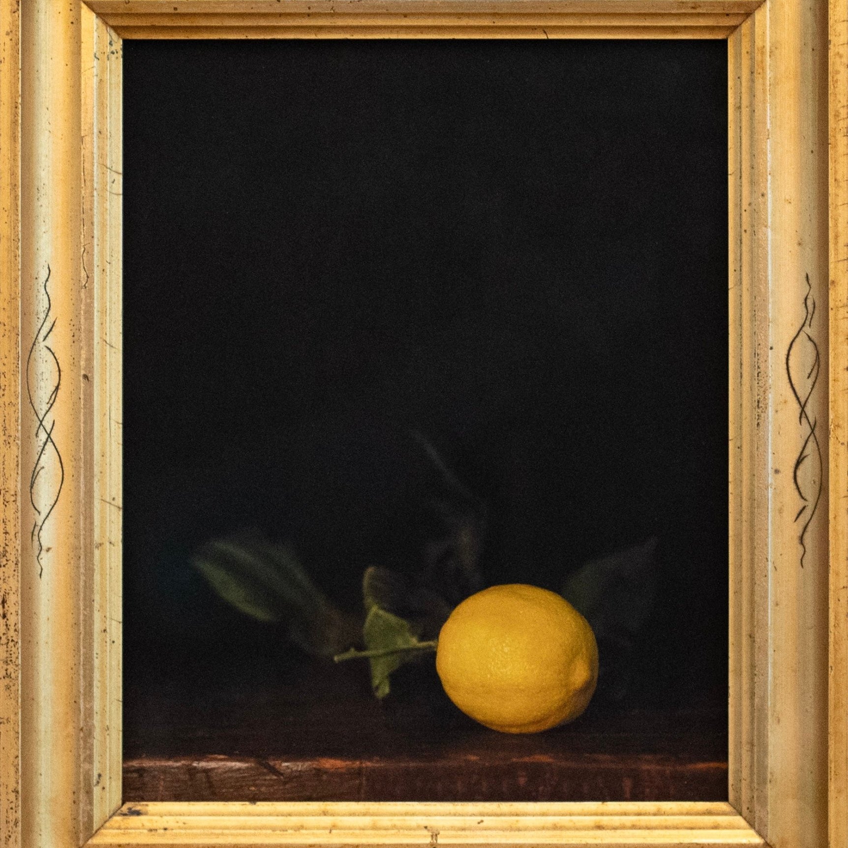 Winter Lemon | Jefferson Hayman - elsie green - art