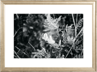 Focus Printed Photograph - elsie green - Art