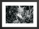 Focus Printed Photograph - elsie green - Art