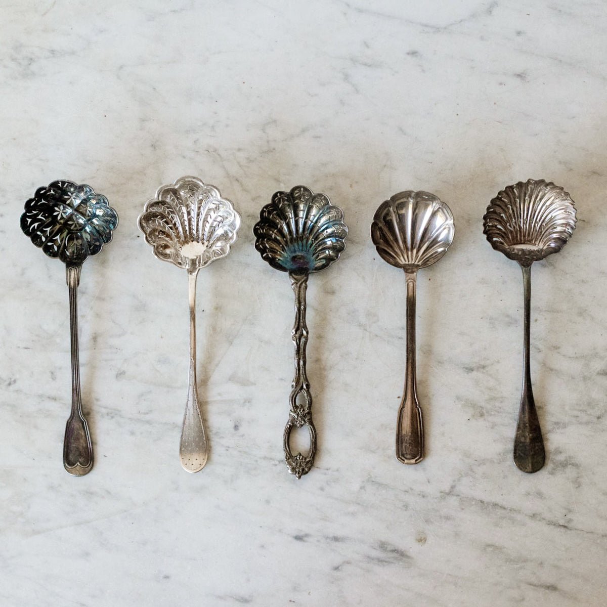 French Shell Sugar Spoon - elsie green - The French Kitchen