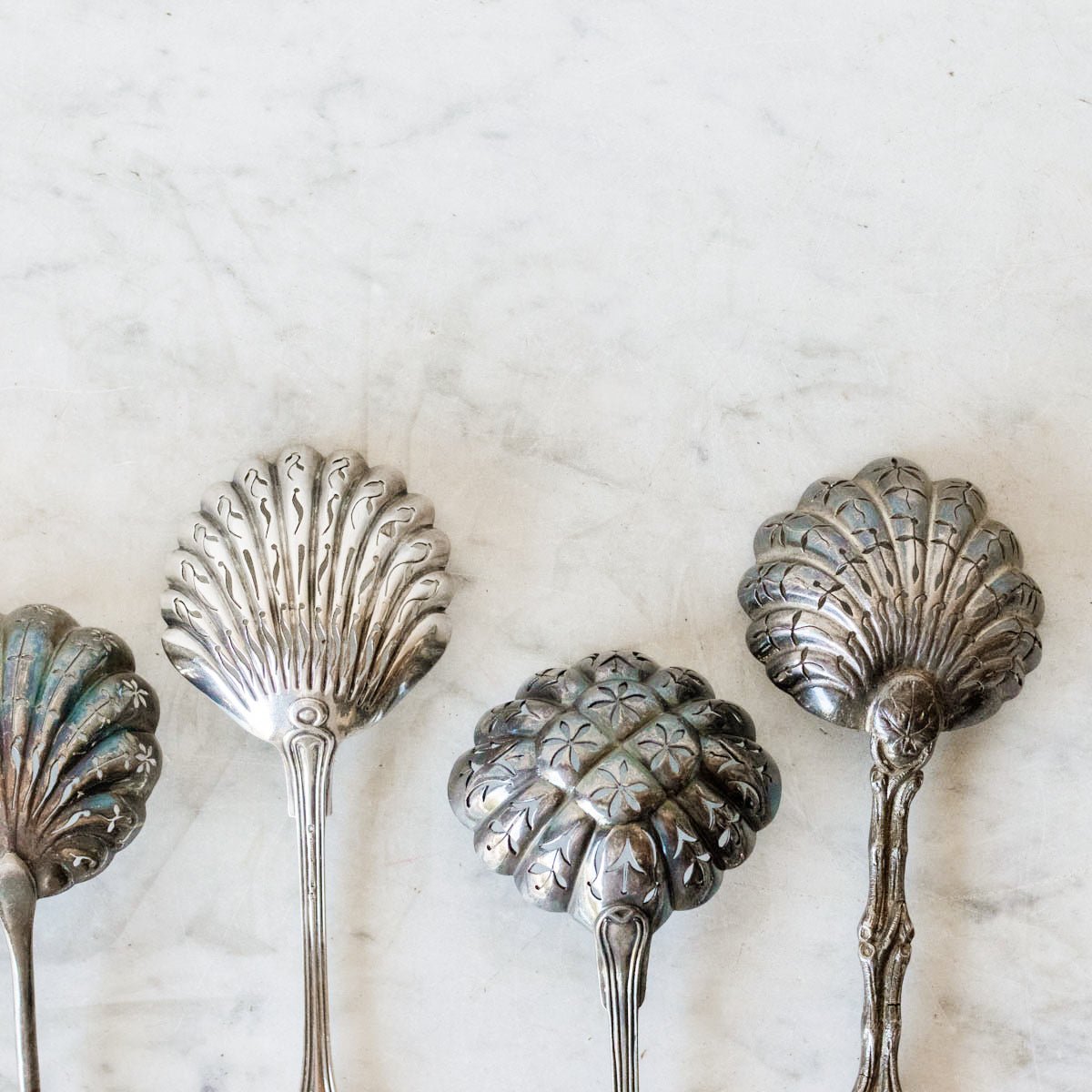 French Shell Sugar Spoon - elsie green - The French Kitchen