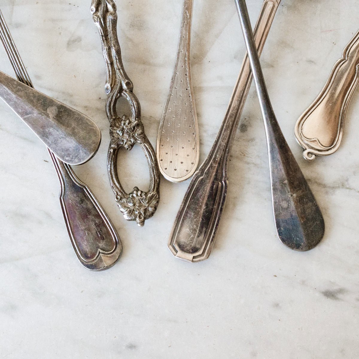 French Shell Sugar Spoon - elsie green - The French Kitchen