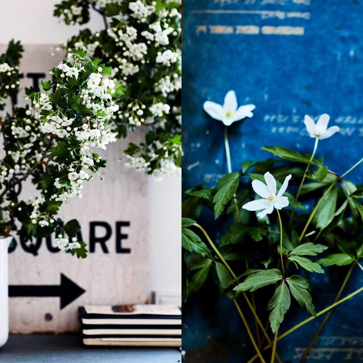 Inspired by Nature | Creating a Personal and Natural Interior - elsie green - Decor