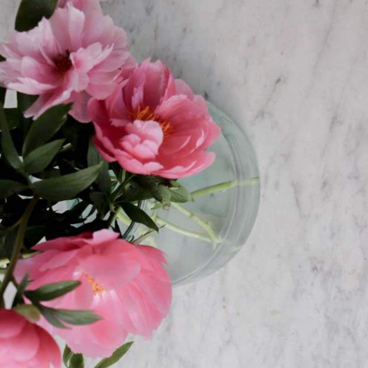 Tapered Petite Pickling Jar - elsie green - Decor