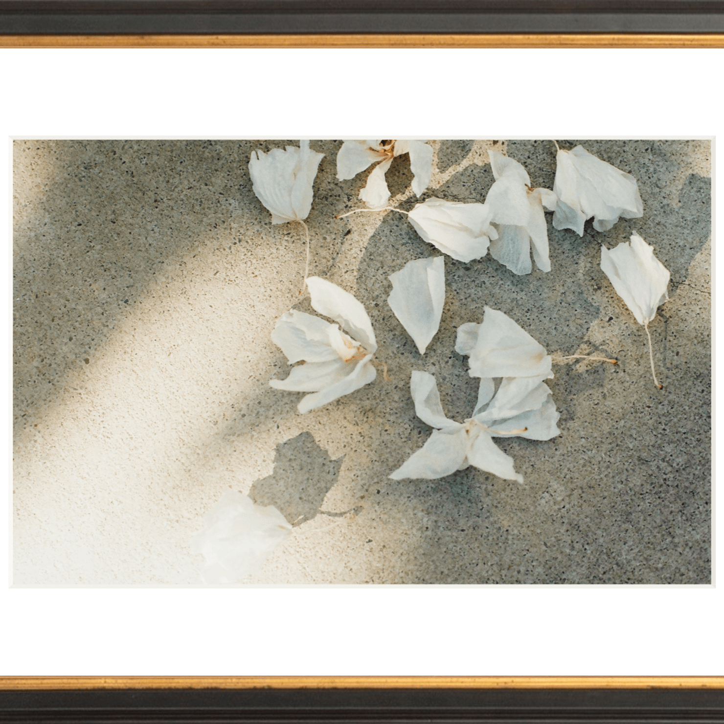 Trail Offerings Printed Photograph - elsie green - Art