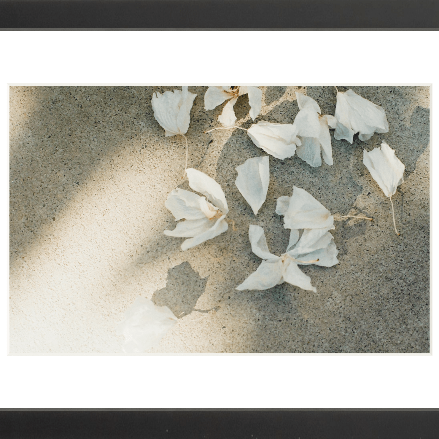 Trail Offerings Printed Photograph - elsie green - Art