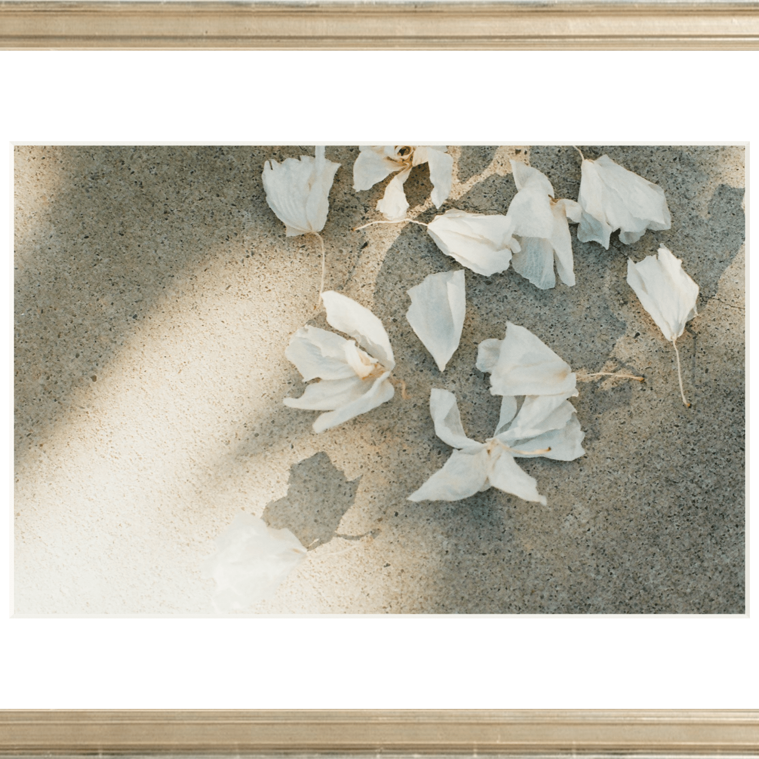 Trail Offerings Printed Photograph - elsie green - Art