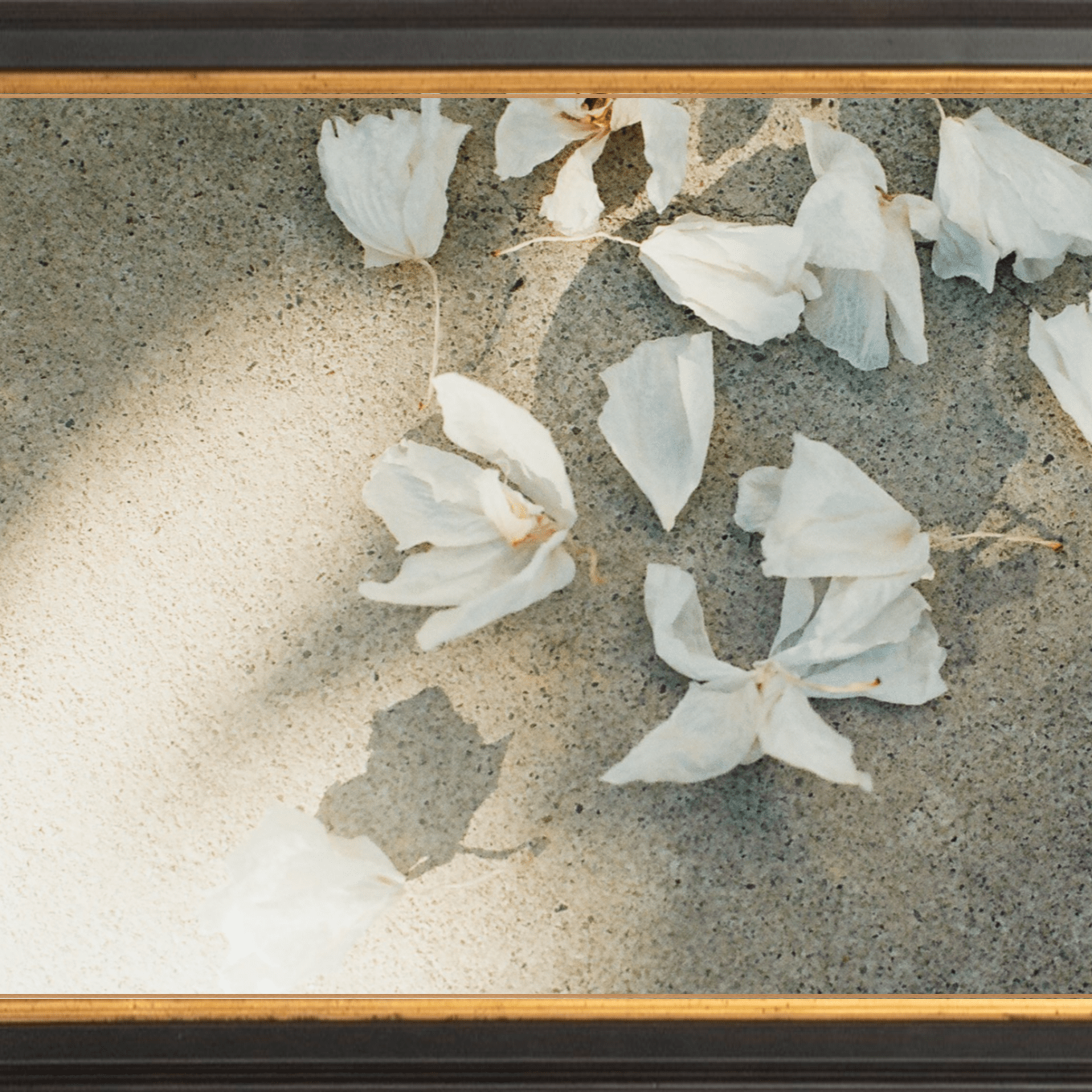 Trail Offerings Printed Photograph - elsie green - Art