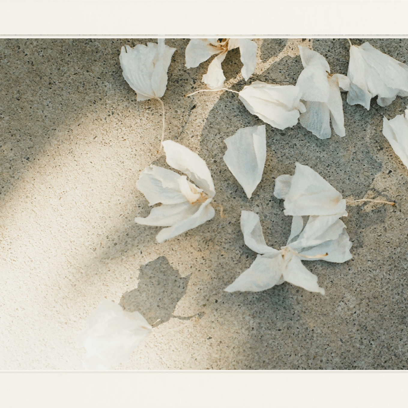 Trail Offerings Printed Photograph - elsie green - Art