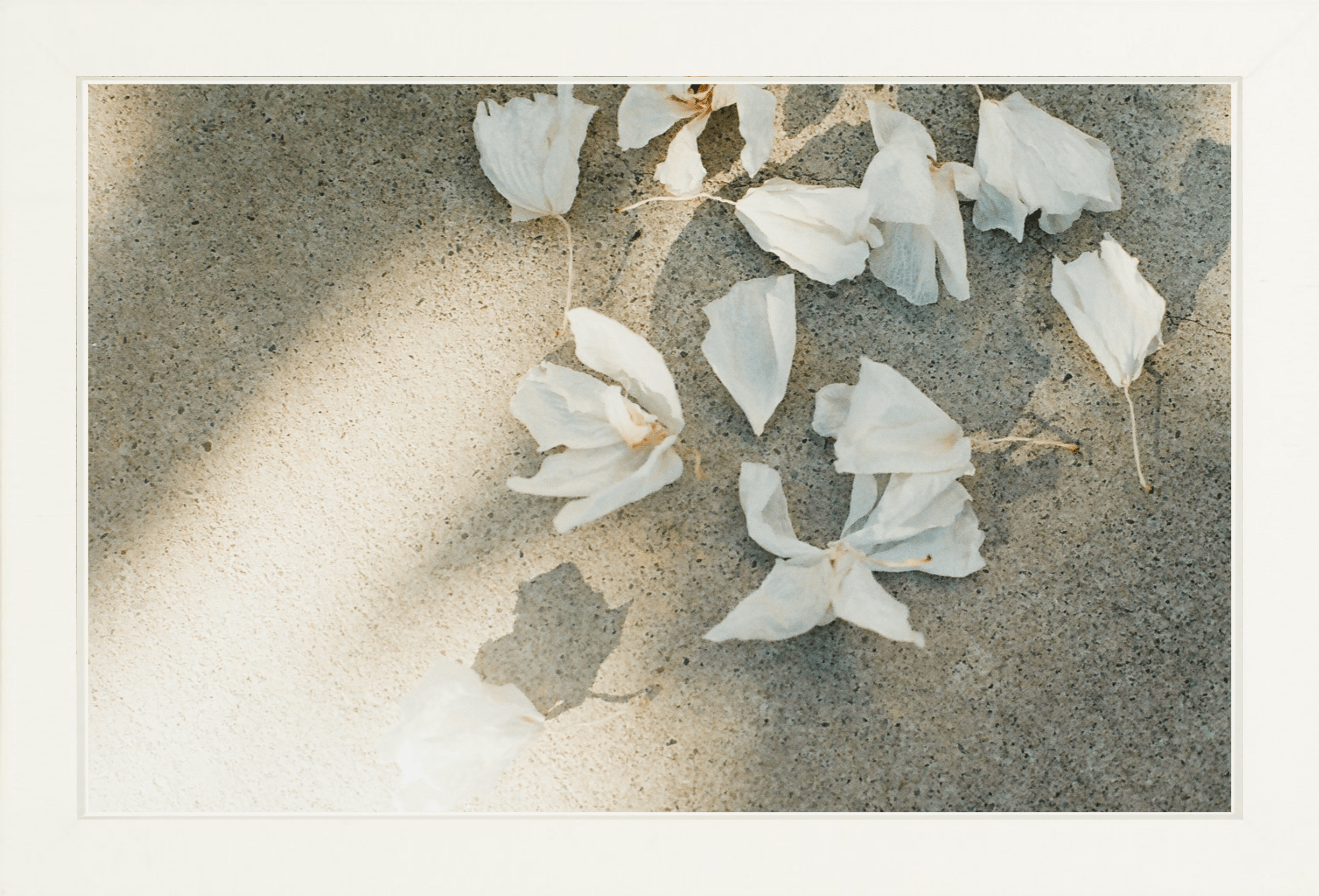 Trail Offerings Printed Photograph - elsie green - Art