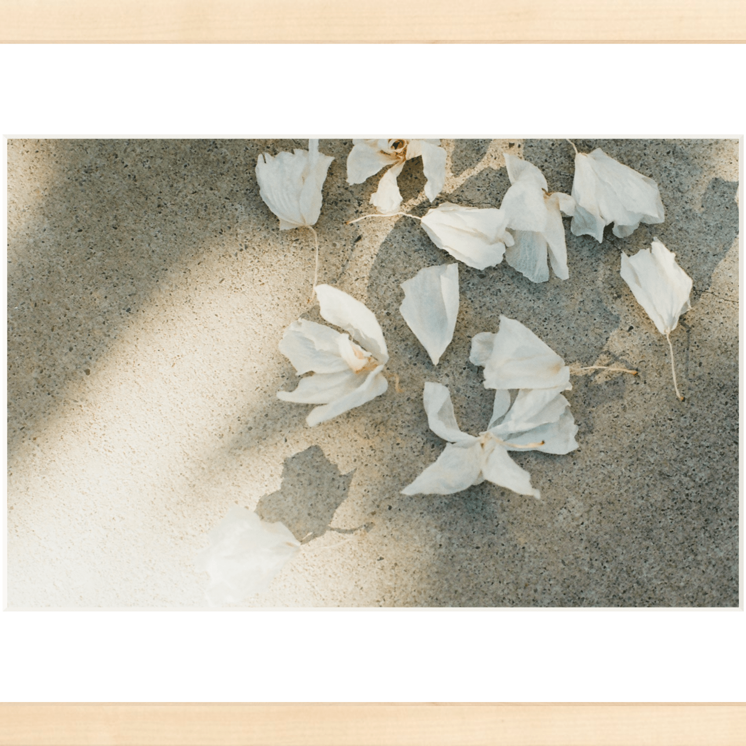 Trail Offerings Printed Photograph - elsie green - Art