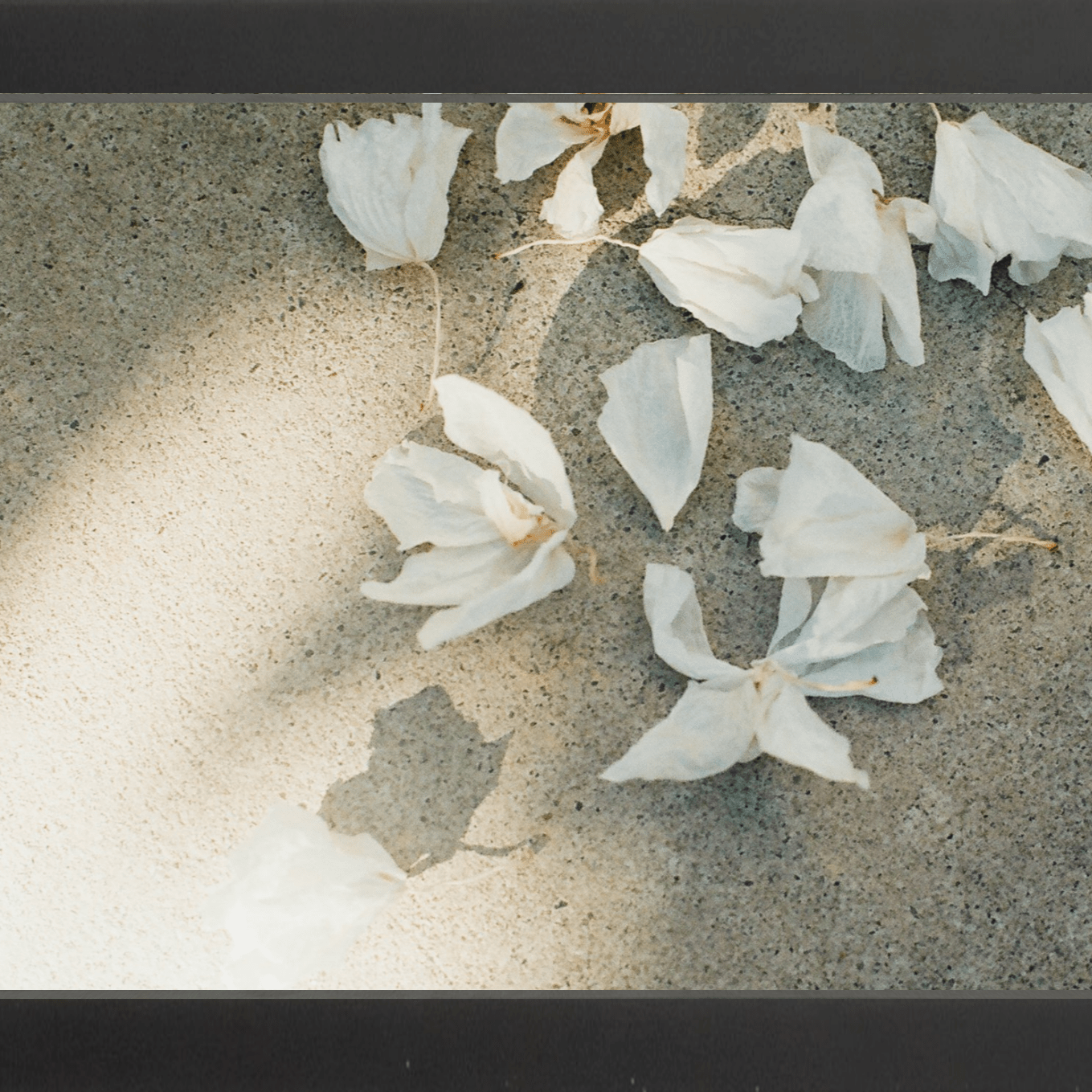 Trail Offerings Printed Photograph - elsie green - Art