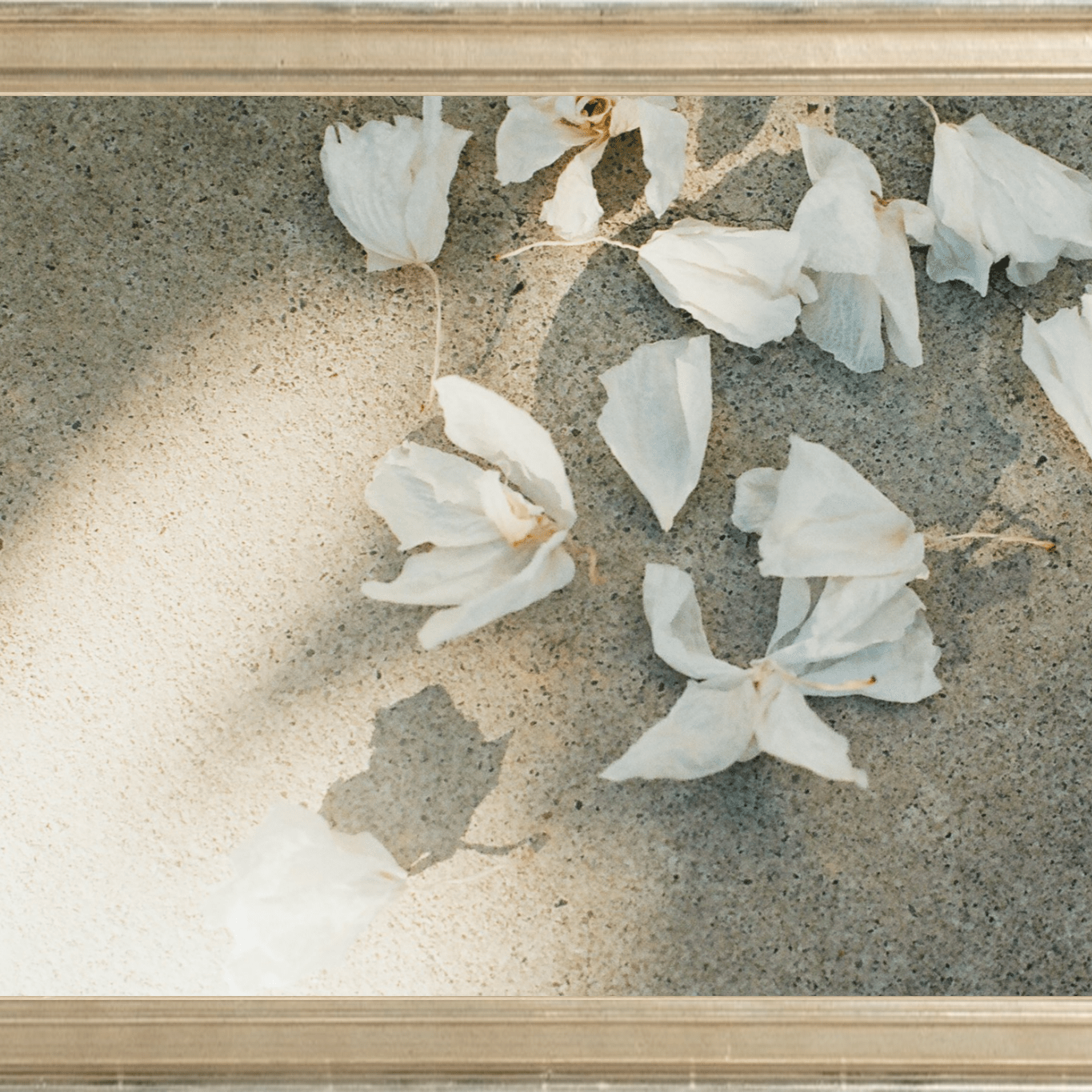 Trail Offerings Printed Photograph - elsie green - Art