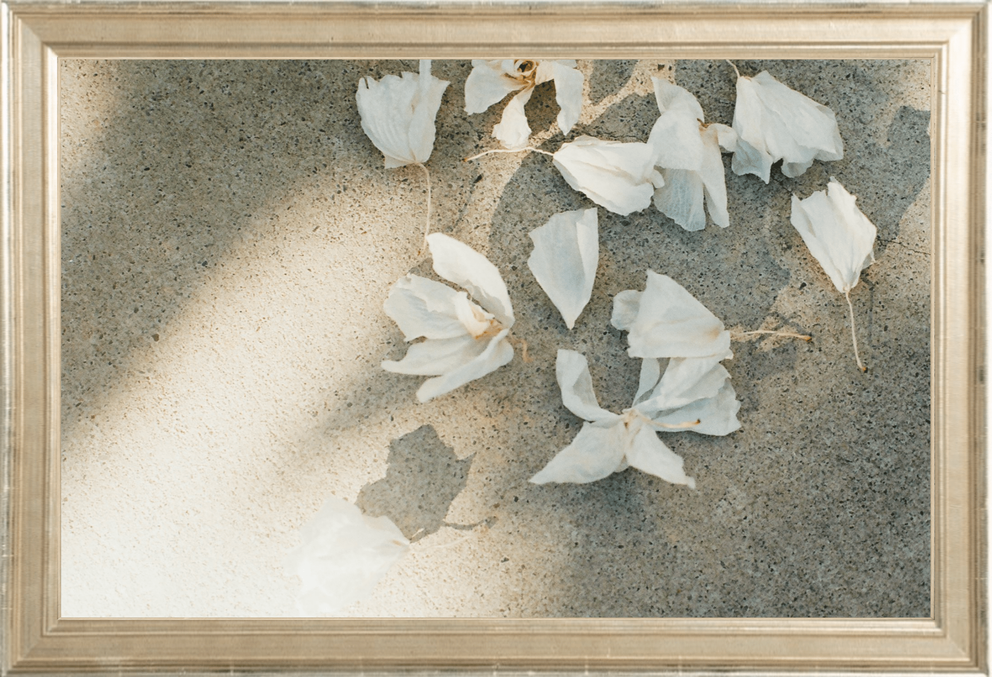 Trail Offerings Printed Photograph - elsie green - Art