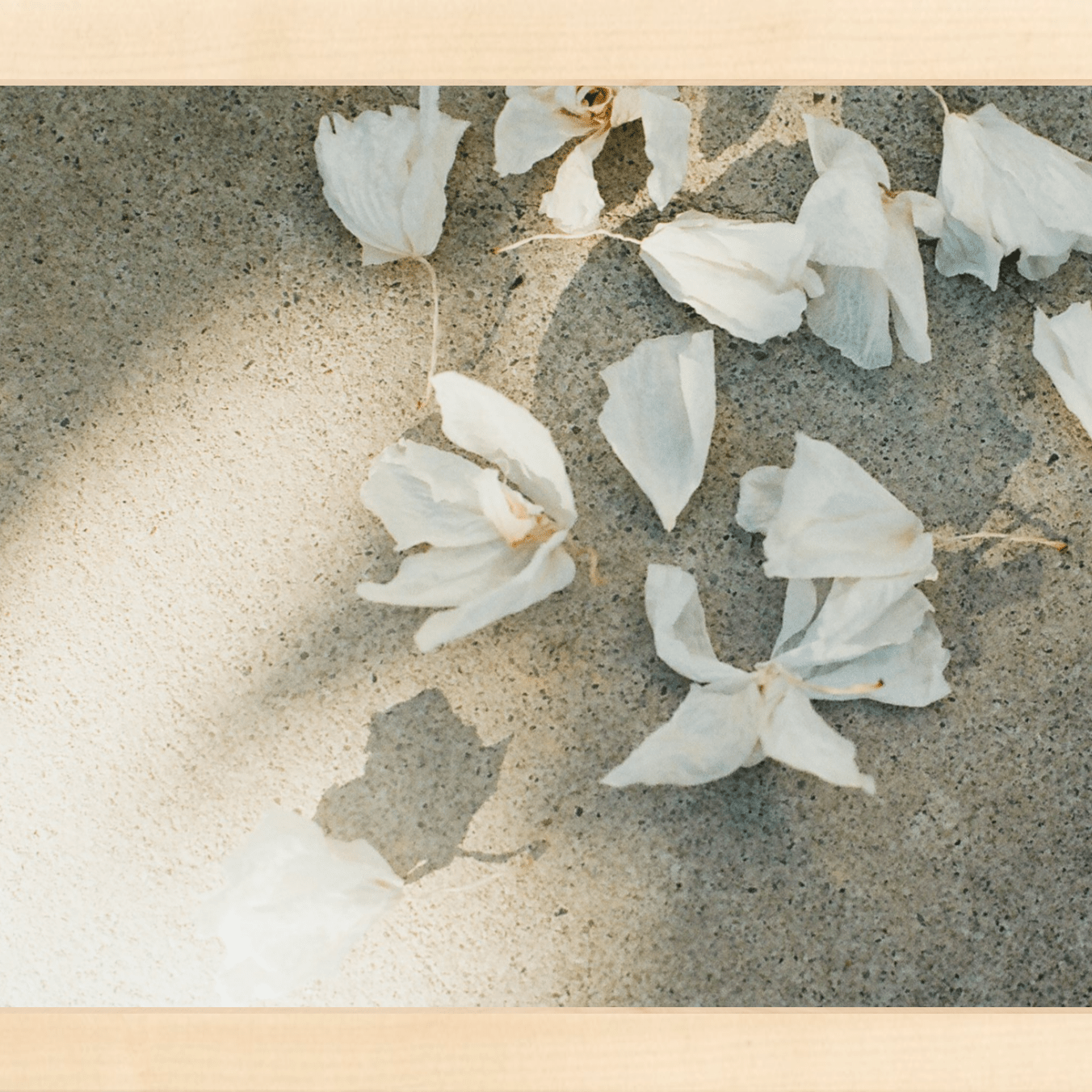 Trail Offerings Printed Photograph - elsie green - Art