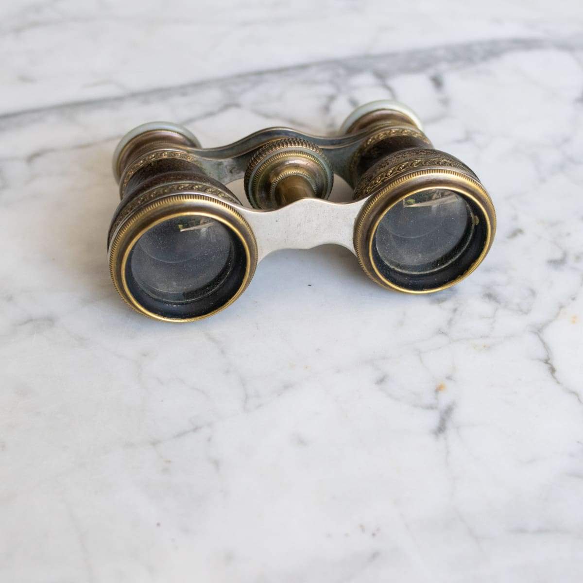 Vintage Brass & Leather Binoculars - Decor