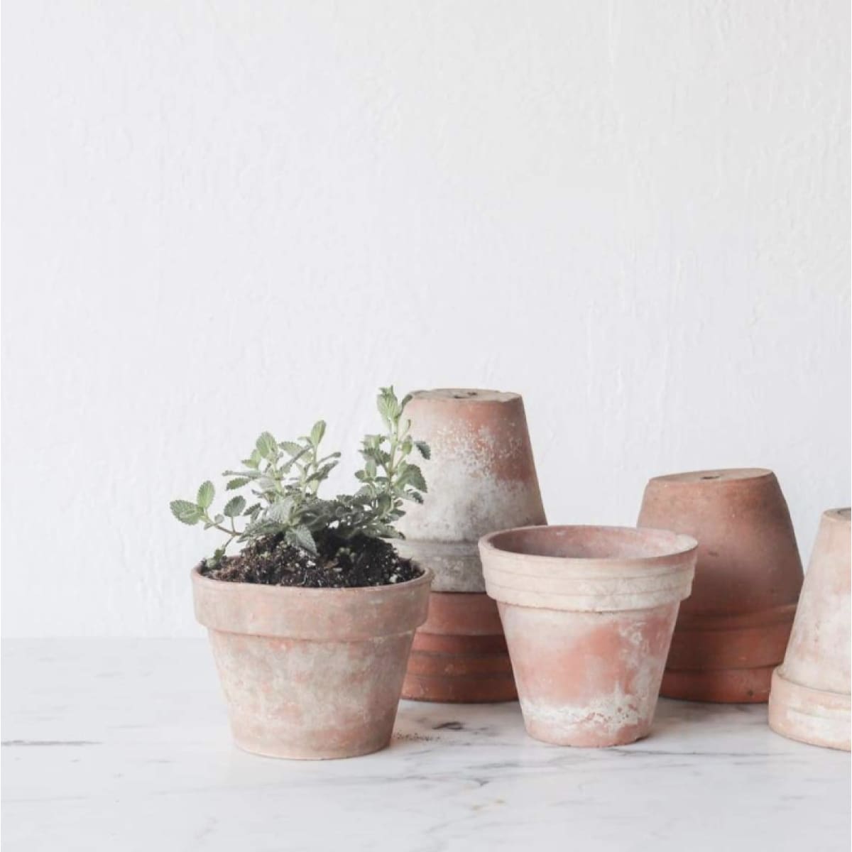 Vintage Garden Pot Set Of 4 - elsie green - Decor