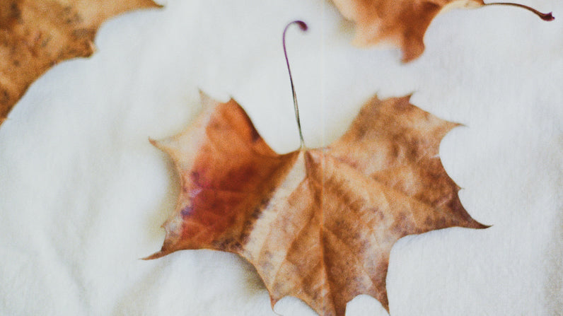 fall leaves on white linen
