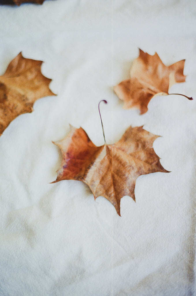 fall leaves on white linen