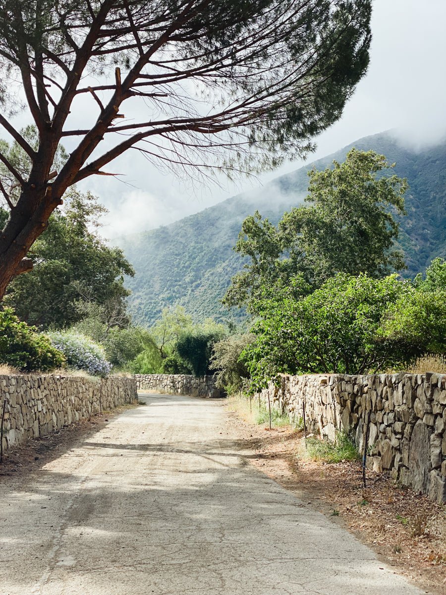36 Hours in Ojai - elsie green
