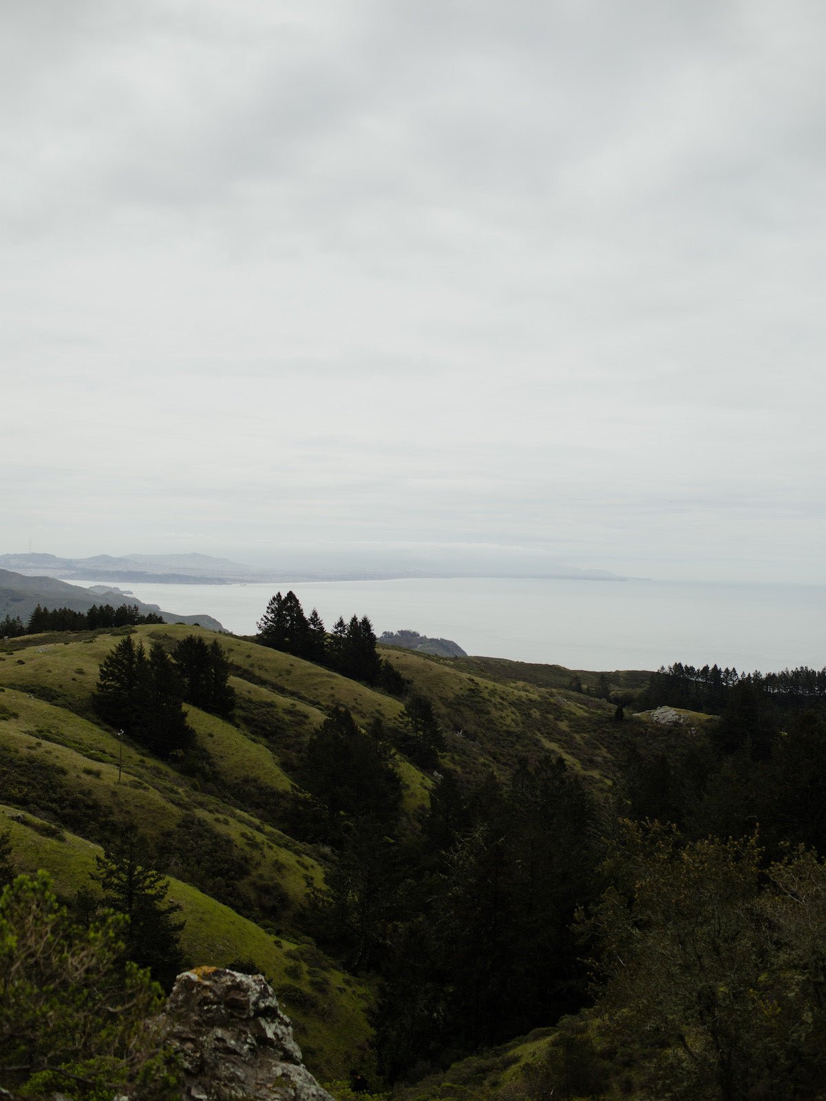 48 Hours In Stinson Beach - elsie green