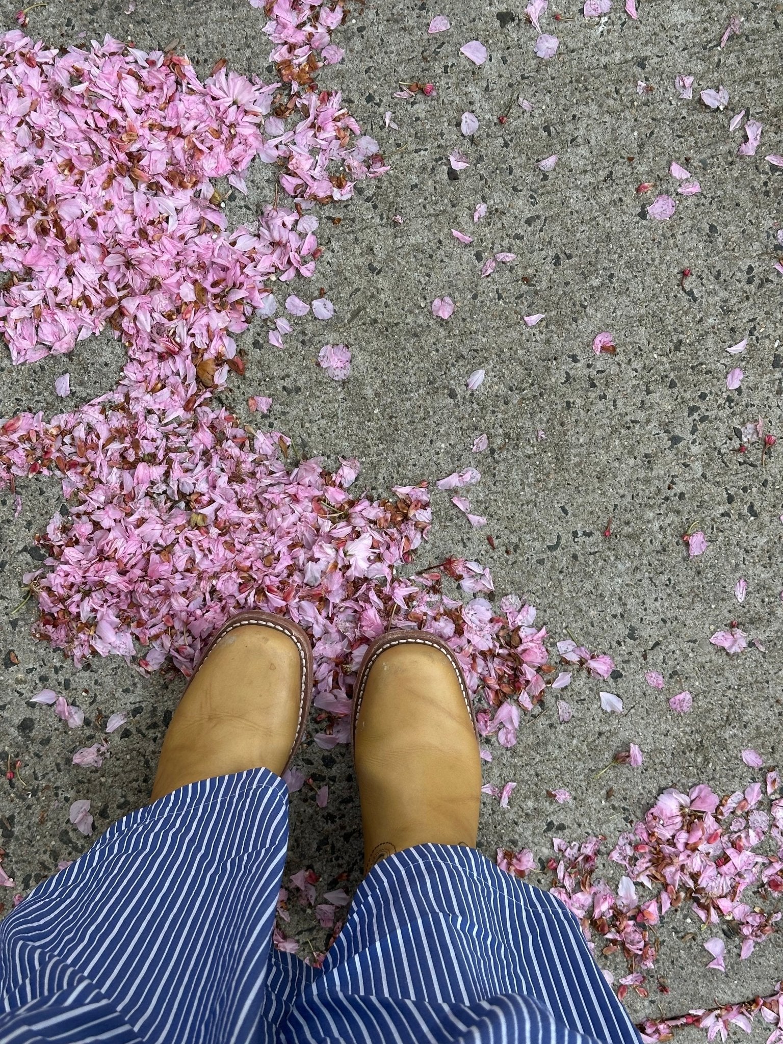 A Love Letter to Feral Spring in NYC - elsie green