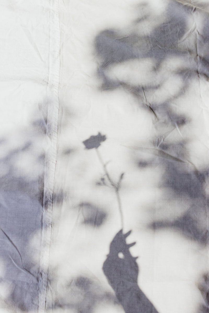 Capturing Moments in Time | Photography with Kelsey - elsie green